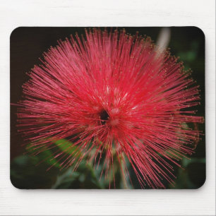 Espanador feericamente Mousepad