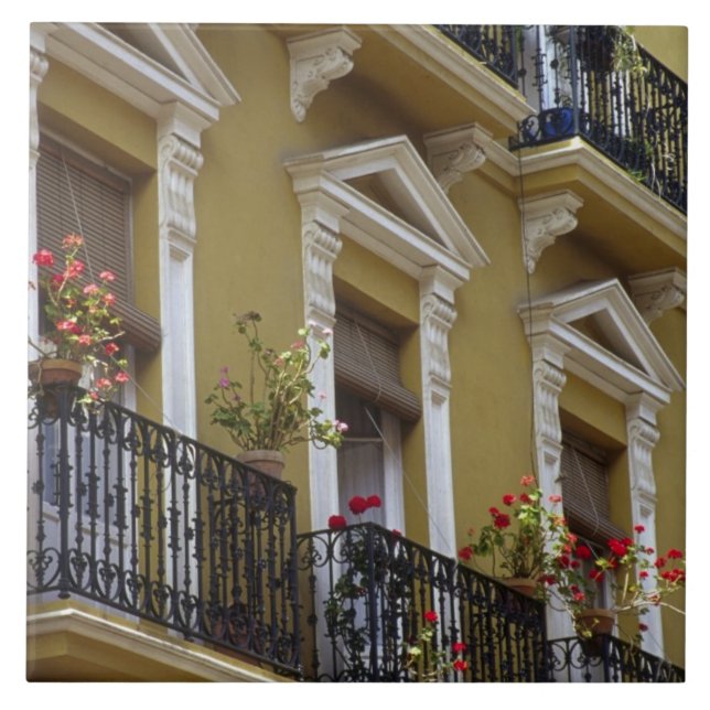 Espanha, Sevilha, Andalucia Geraniums se enforcam (Frente)