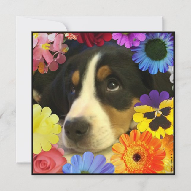 Espanhol: Convite de cumpleaños/ Aniversário (Frente)