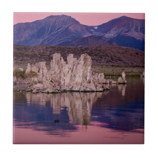 Espectacular Mono Lake na Sombra (Frente)