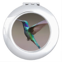 Colibri em vôo