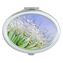 Sementes de Dandelion com Gotas de Dew