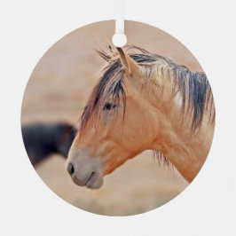 Espelho de observação Stallion
