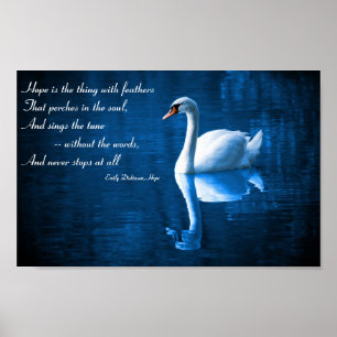 Esperança, cisne branca no poster das águas azui