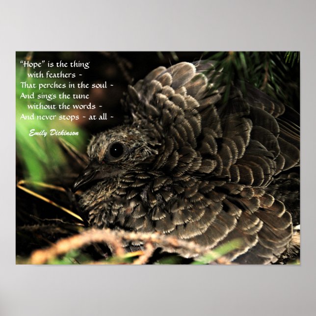 "Esperança" é a coisa com penas Poster (Frente)