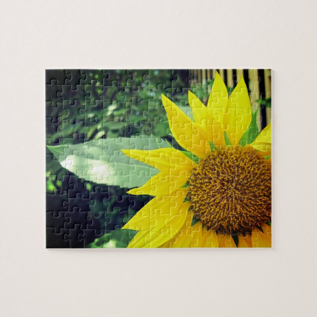 Esperançosa Quebra-cabeça de Varsóvia de Autoatend (Horizontal)