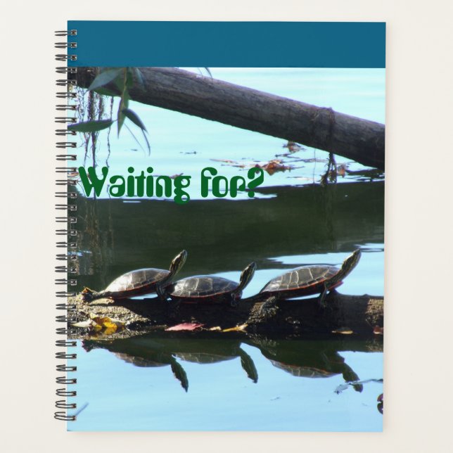 Esperando? Agenda (Frente)