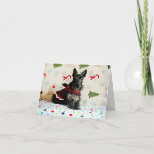 Esperando cartão de Natal