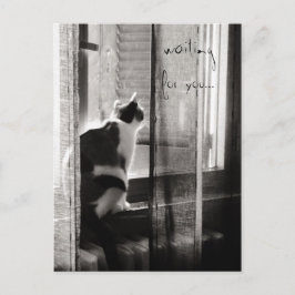 Esperando o - cartão