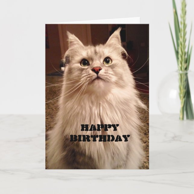 Esperando pacientemente pelo cartão de aniversário (Frente)