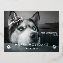 Esperando por fotos personalizadas de cães de Nata