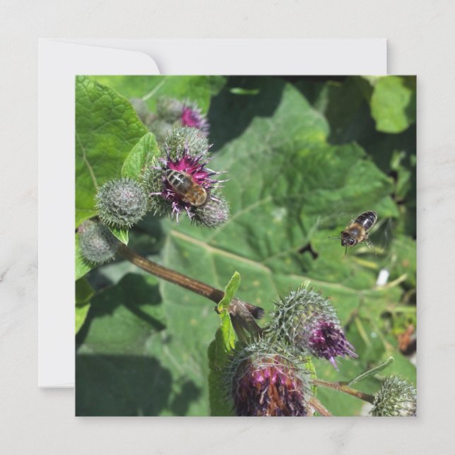 espere por mim (Frente)