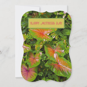 "Espero ser tão boa mãe quanto você" / floral