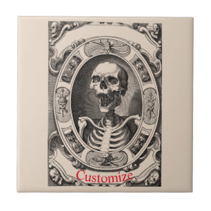 Espessa do Crânio Humano Spooky_Cove