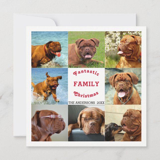 Espetacular Natal da Família de Oito Fotos (Frente)