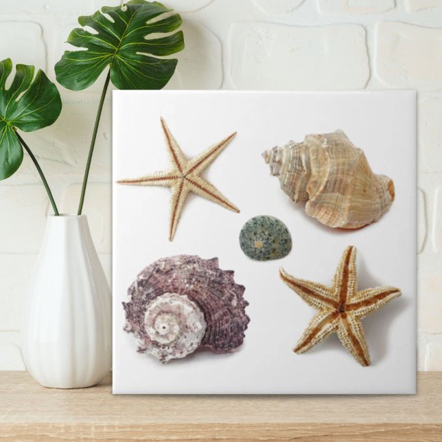espinheiro-da-praia russa (rustic coastal beach chic seashell starfish ceramic tile)