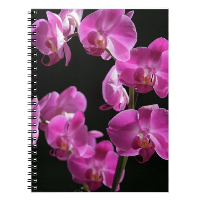 Espiral A orquídea floresce caderno (Frente)