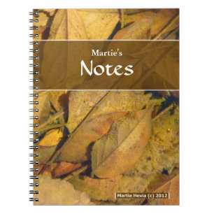 Espiral A poça sae do caderno