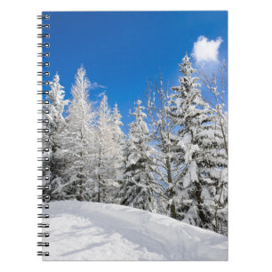 Espiral Árvores da neve sob um caderno claro do céu azul