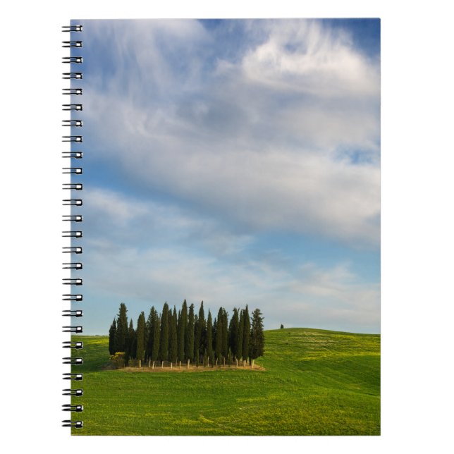 Espiral Árvores de Cypress no caderno de Toscânia (Frente)