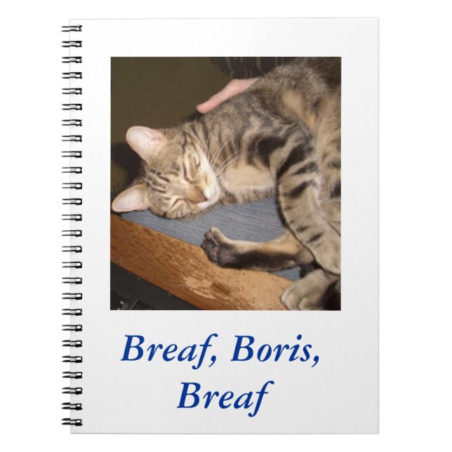 Espiral Breaf, Boris, caderno de Breaf (Frente)