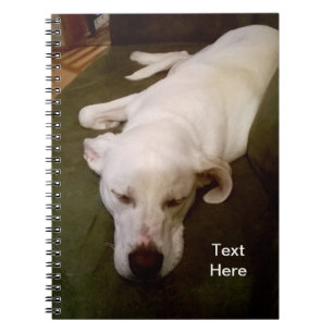 Espiral Cachorro Branco Sonolento Caderno Verde