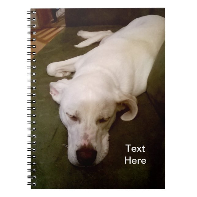Espiral Cachorro Branco Sonolento Caderno Verde (Frente)