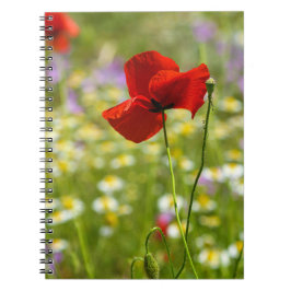 Espiral Caderno - A Foto da Papoula Vermelha