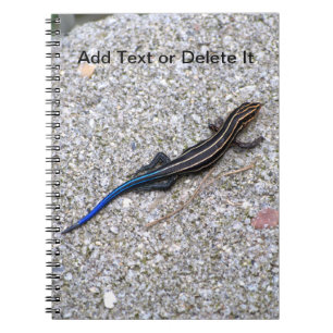 Espiral Caderno atado azul de Skink