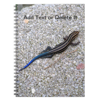 Espiral Caderno atado azul de Skink