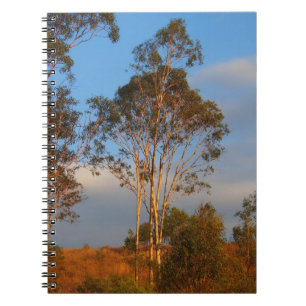 Espiral Caderno australiano das árvores de goma