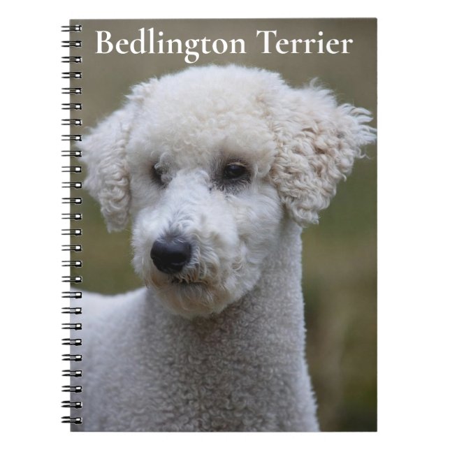 Espiral Caderno Bedlington Terrier (Frente)