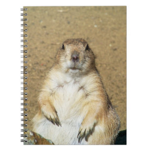 Espiral Caderno bonito do cão de pradaria