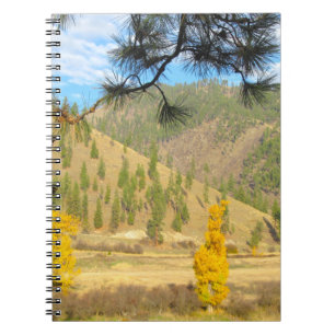 Espiral Caderno bonito do cenário