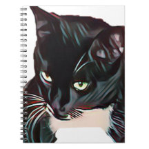 Caderno bonito do gato preto