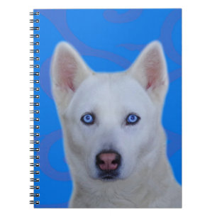 Espiral Caderno branco do rouco Siberian
