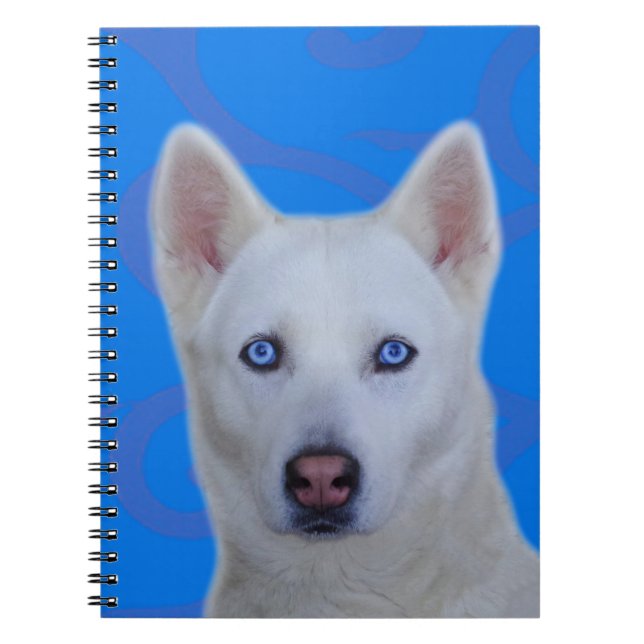 Espiral Caderno branco do rouco Siberian (Frente)