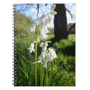 Espiral Caderno branco dos Bluebells