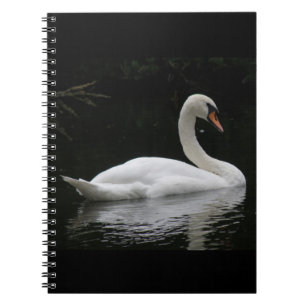 Espiral Caderno branco gracioso da cisne