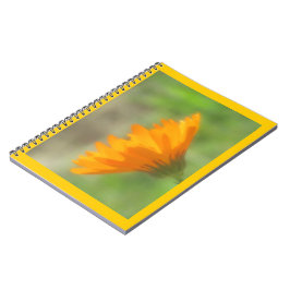 Espiral Caderno - Calendula
