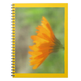 Espiral Caderno - Calendula