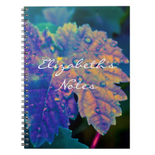Espiral Caderno colorido da fotografia de néon das belas