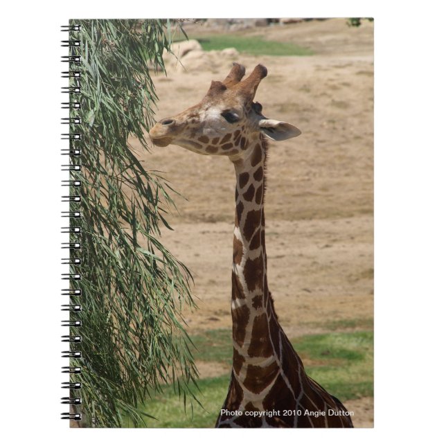 Espiral Caderno com fome do girafa (Frente)