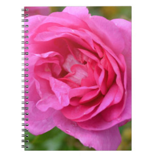 Espiral Caderno cor-de-rosa cor-de-rosa de novembro