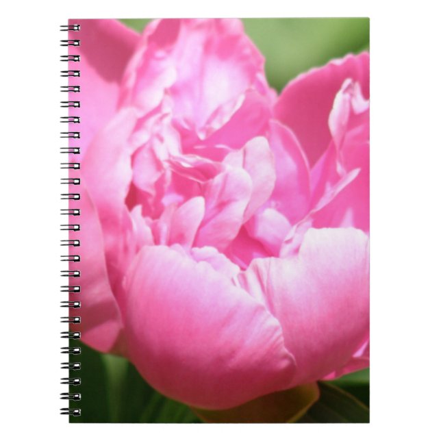 Espiral Caderno cor-de-rosa da peônia (Frente)