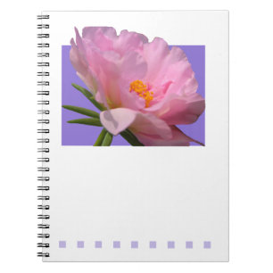 Espiral Caderno cor-de-rosa da peônia