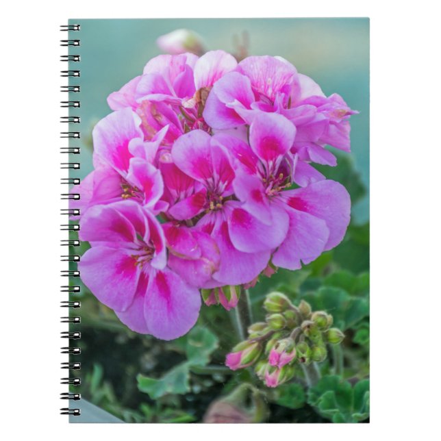Espiral Caderno cor-de-rosa dos gerânio (Frente)