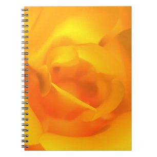Espiral Caderno cor-de-rosa inflamado