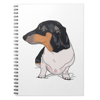 Espiral Caderno da dança