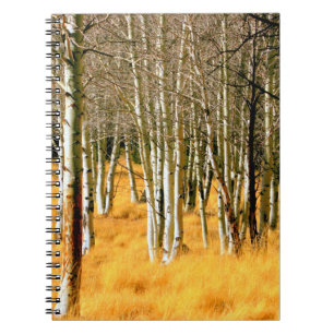 Espiral caderno da floresta do álamo tremedor